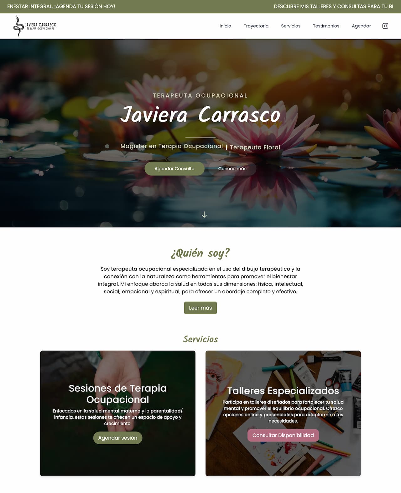 Javi Carrasco website